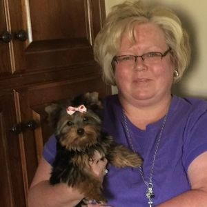 Meet your Posher, Regina